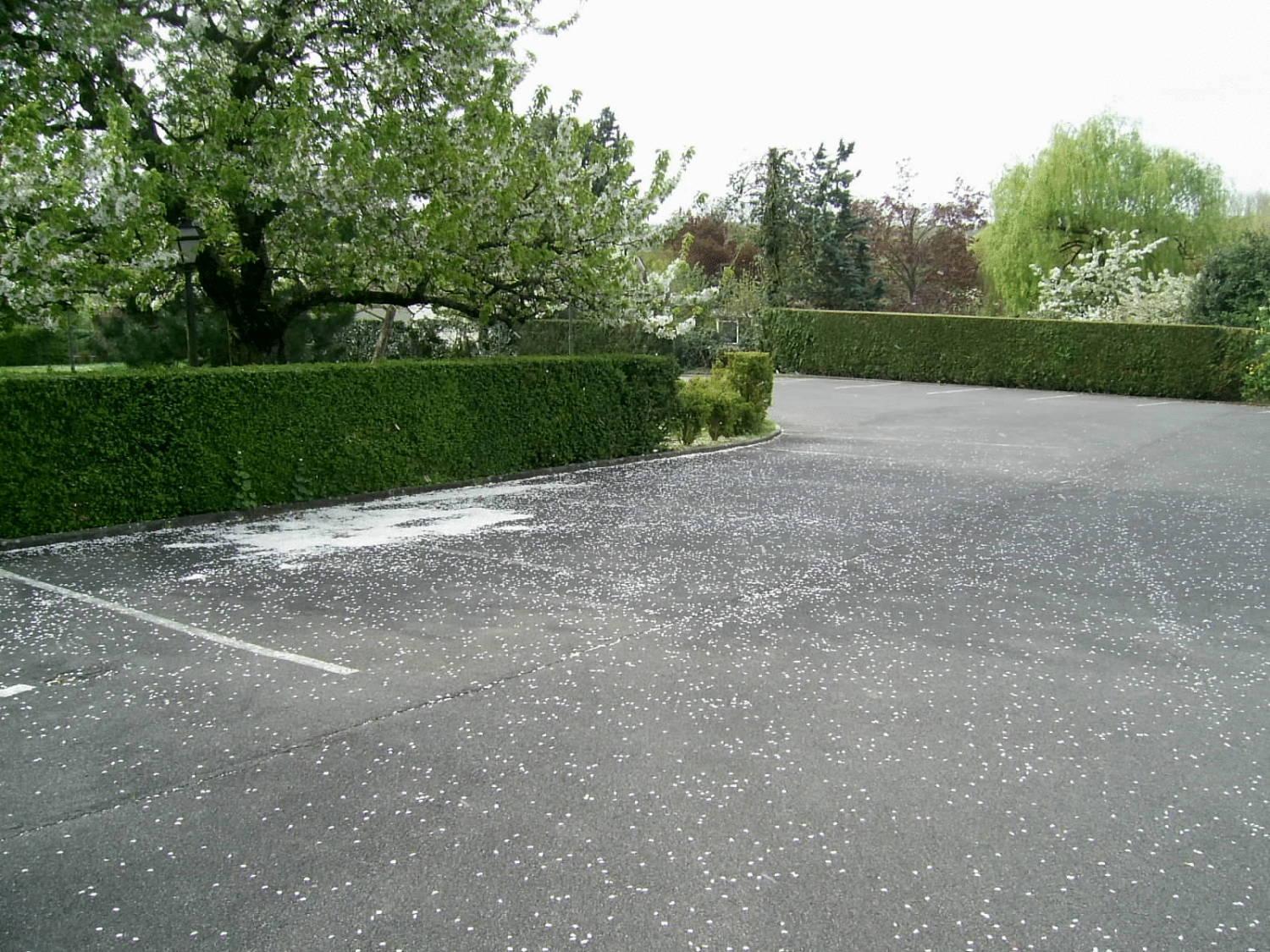 Belvedere Montargis Amilly Amilly  Extérieur photo