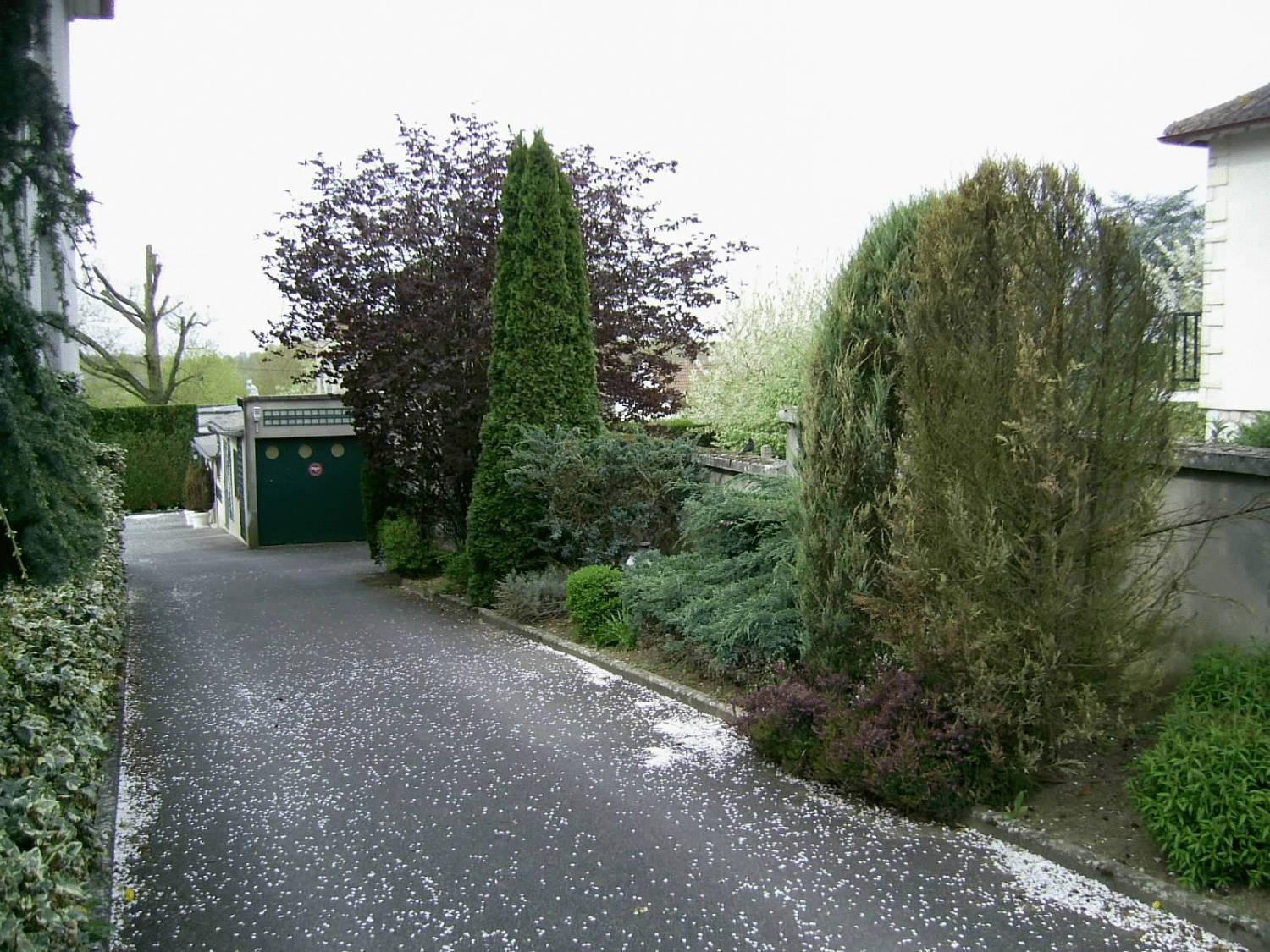 Belvedere Montargis Amilly Amilly  Extérieur photo